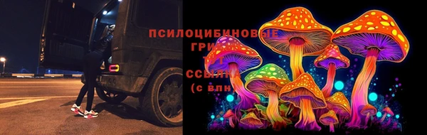 не бодяженный Арсеньев