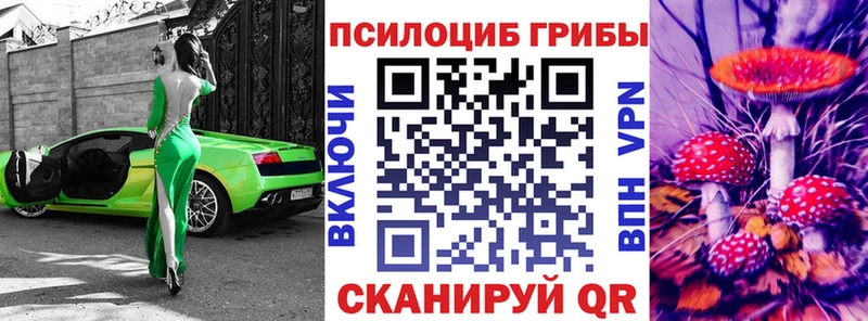 Галлюциногенные грибы Psilocybine cubensis  Сальск 